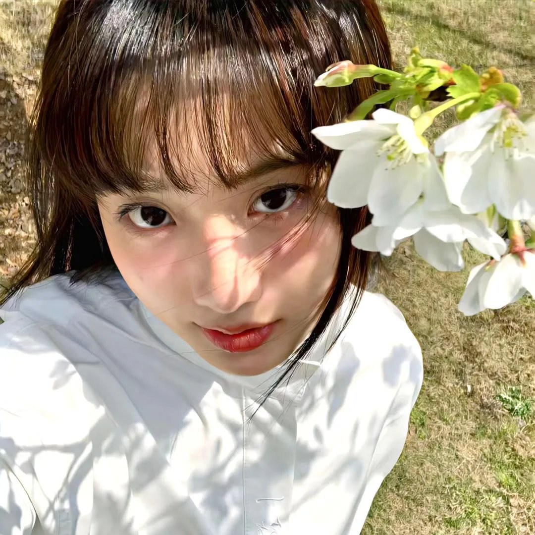 麦田